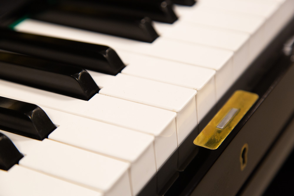 Kioshi Refurbished Yamaha-13