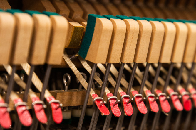 Kioshi Refurbished Yamaha-30 cropped wr